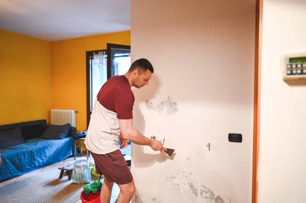 Best Residential Mold Remediation in Pleasant Hills, MD