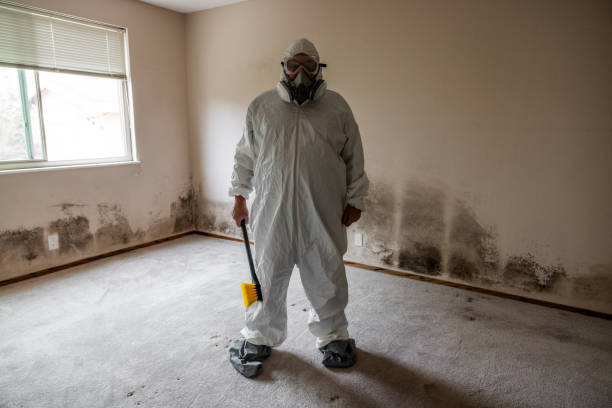 Best Post-Flood Mold Remediation in Pleasant Hills, MD